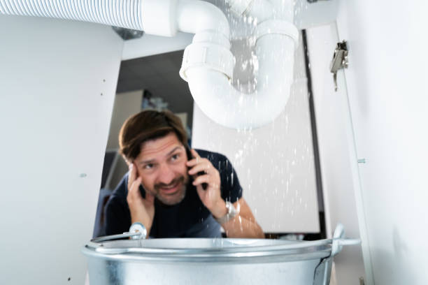 Best Drain Cleaning Services  in Pasadena, TX